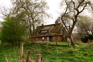 Reethäuschen